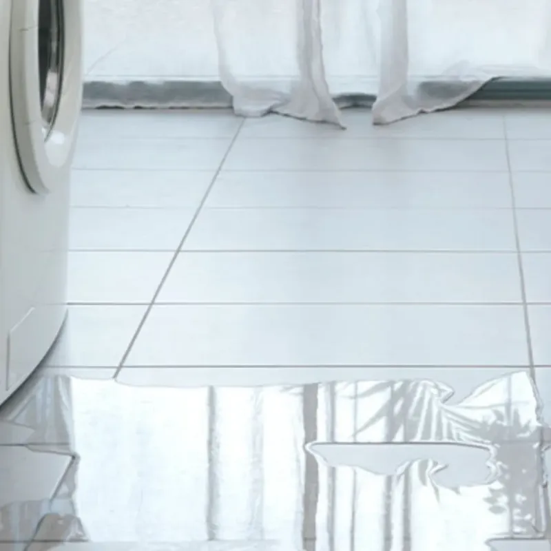 Appliance Leak Cleanup in Perry County, IN