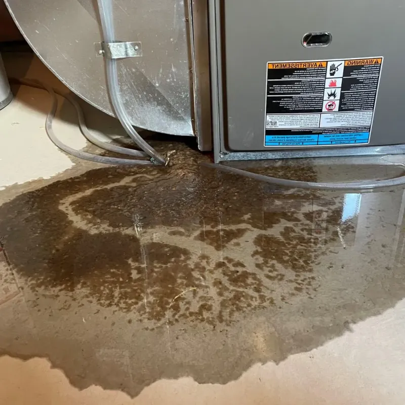 Pipe Burst and Leak Restoration in Perry County, IN