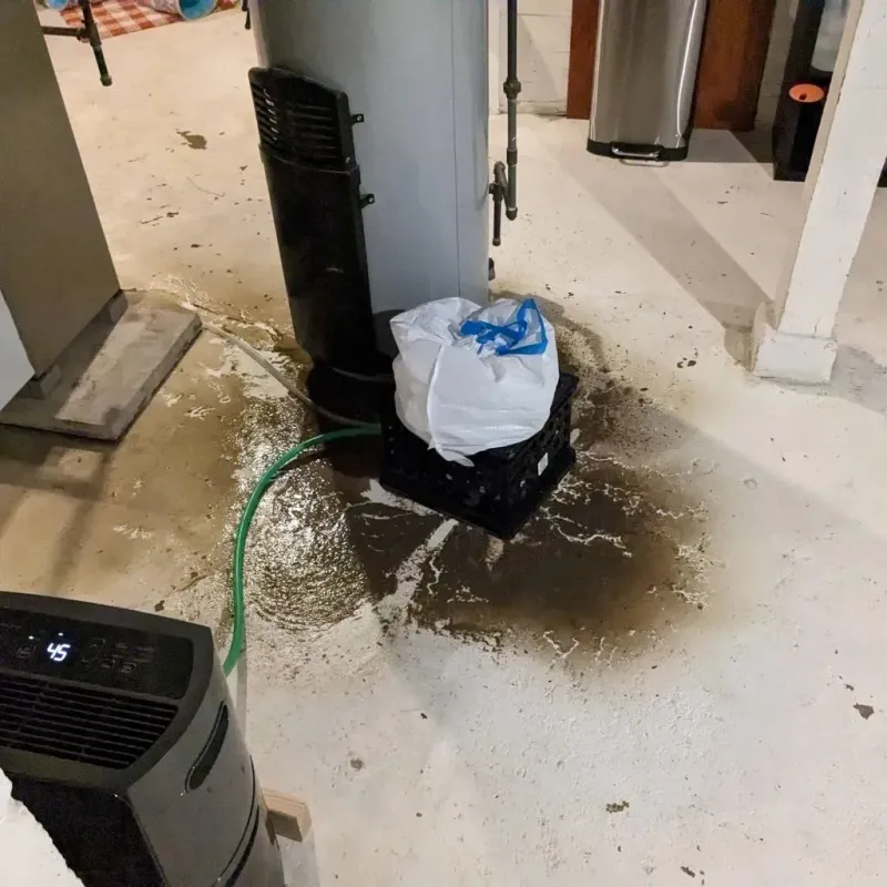 Sewage Backup Cleanup Service in Perry County, IN